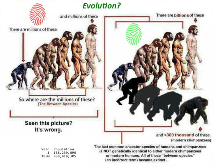 Evolution?