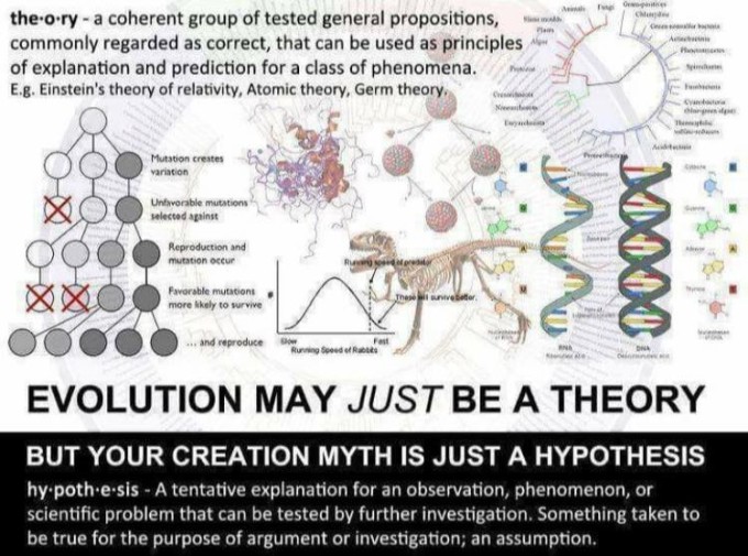 Theory and hypothesis